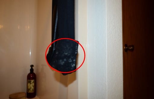 Mold Growth Noted on Client’s Contents