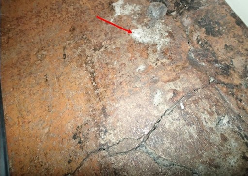Efflorescence, not mold