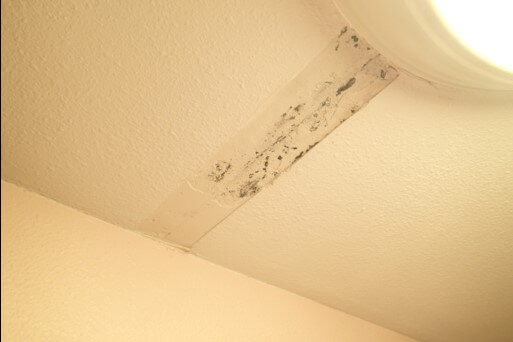 Drywall tape has failed and fell off ceiling. Behind shows signs of mold growth under seam tape.