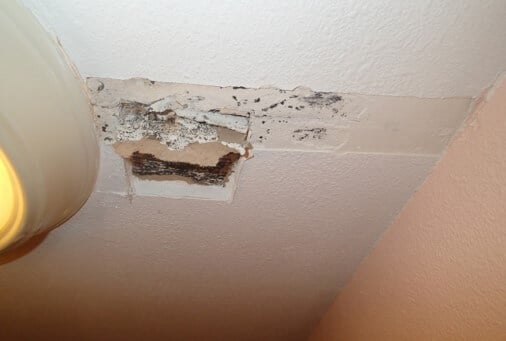 Mold growth present reflecting the same ceiling assembly noted in kitchen.
