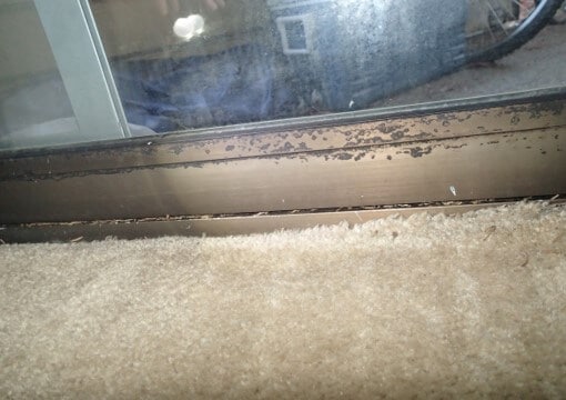 Mold growth and rust from condensation on sliding glass door