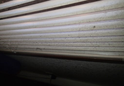 Mold growth on blinds
