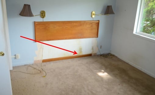 Visible Mold Growth on Exterior Wall of Master Bedroom