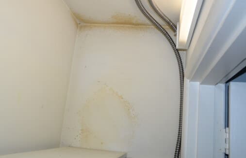 Visible Mold Growth on Closet Wall of Master Bedroom