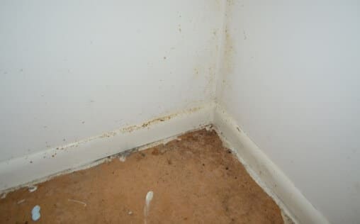 Condensation Based Mold Growth on Basement Bedroom Wall