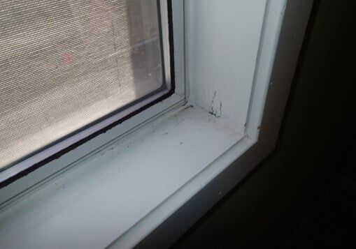 Water damage on the window caused by condensation.