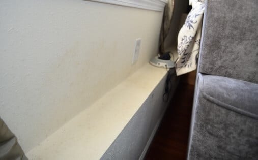 Mold on Exterior Wall Behind Living Room Couch