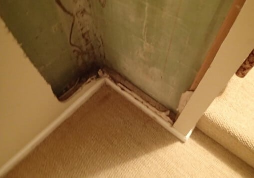 Exposed framing