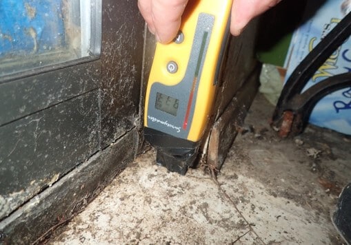 Moisture saturated building materials and mold growth.