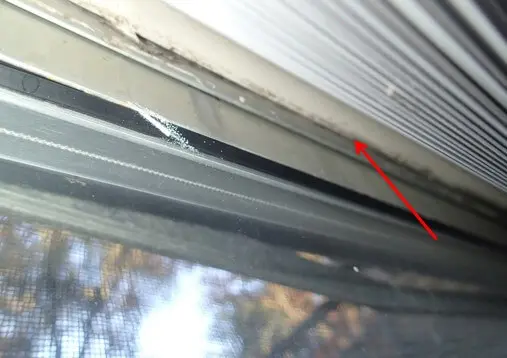 Light condensation causing mold growth on windows