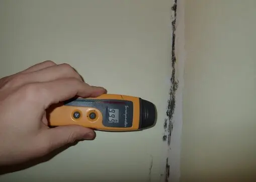 Interior wall near mold is wet