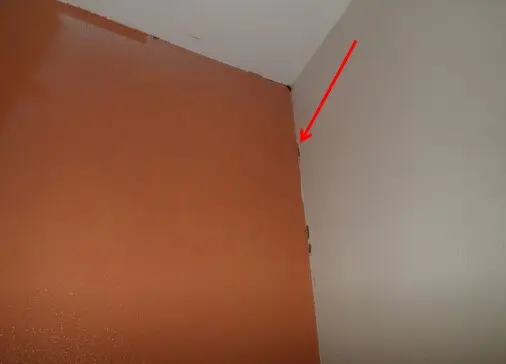 Mold on master bedroom shared wall with bathroom 