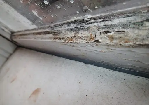 Windows are failing, wet framing with mold