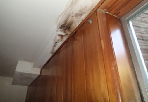 Mold growth and water staining on ceiling in basement family room