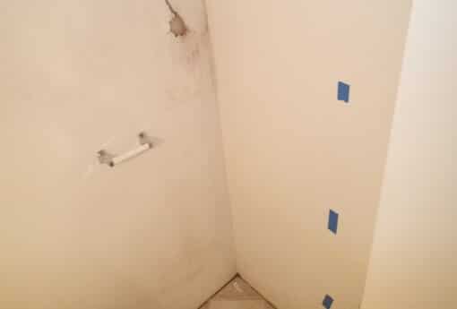 All back wall, ceiling need removal and portion of interior wall need removal in order to treat mold