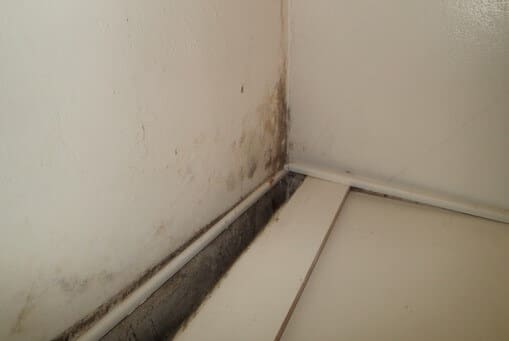 Mold growth in master bedroom closet is likely from condensation