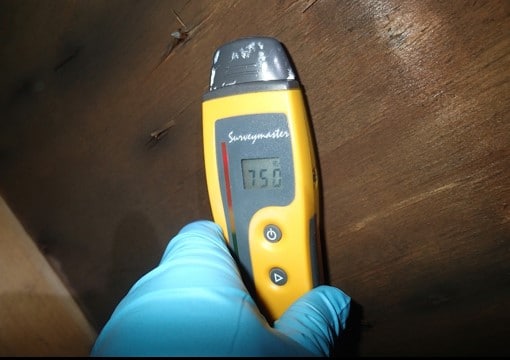 Attic Sheathing Shows Elevated Moisture
