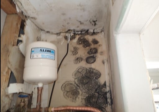 Mold on wall and ceiling near water heater