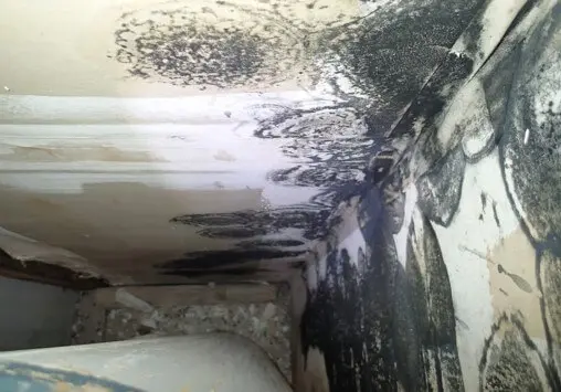 Mold on wall extending to floor near water heater