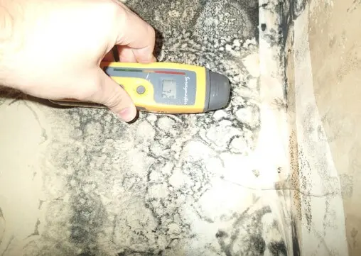Building materials are dry, source of mold is an old leak