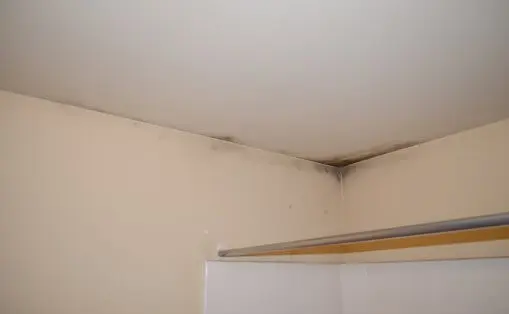 Moderate Mold Growth on Ceiling Above Shower
