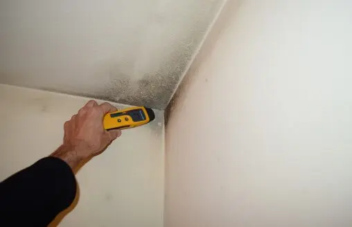 No Signs of Elevated Moisture Noted Around Mold Growth