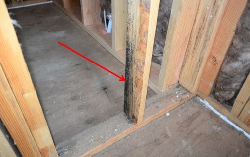 Some Mold Growth Noted on Isolated Sections of Framing