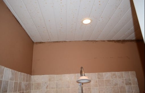 Significant Amount of Condensation Drip Marks on Ceiling