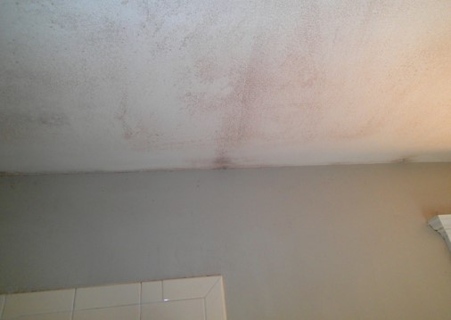 Mold growth on the master bathroom ceiling.