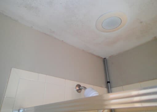 Mold growth on the master bathroom ceiling.
