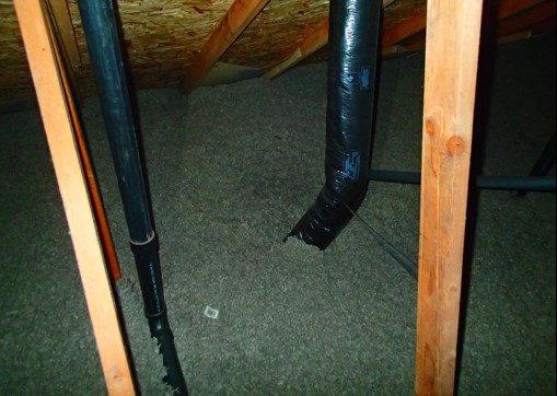Attic above the bathrooms.