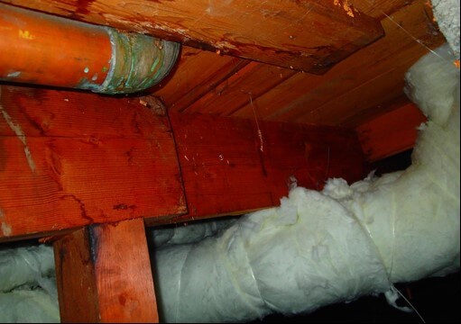 Active plumbing leak.
