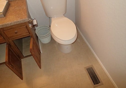 No mold observed on hall bathroom building materials