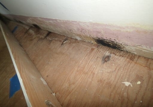Mold found behind baseboard in master bedroom