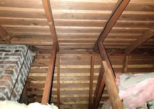 No mold noted in attic