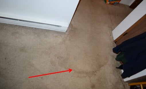 Noted Water Stain on Carpeting From Past Water Intrusion