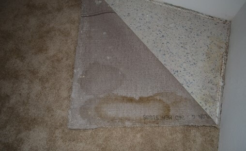 Water Stained Carpeting – Carpeting Not Removed