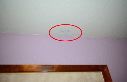 Light Mold Growth Found on Ceiling of Bedroom