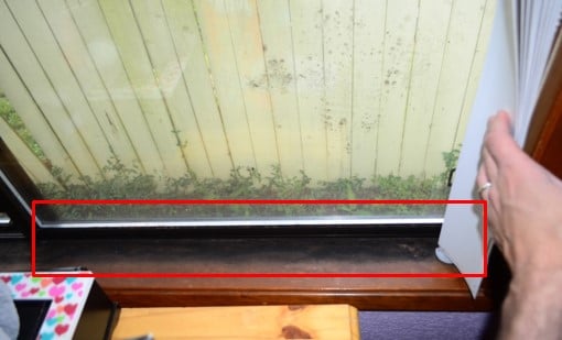Moderate to Heavy Mold noted on Window, Frame & Sill