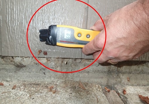 Exterior siding at leak shows elevated moisture levels