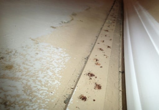 Tack strip nails show rust from vapor emissions