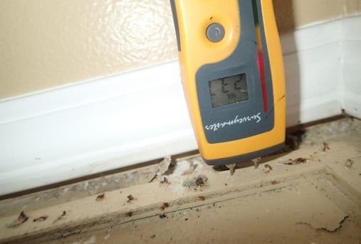 Slightly elevated moisture detected in tack strip along exterior wall