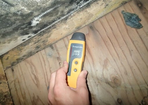 Elevated moisture detected in flooring and bottom of cabinetry