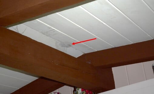 Water Stains on Kitchen Ceiling – Condensation Related