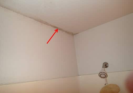 Examples of Light Mold Growth Along Exterior Edge of Bathroom