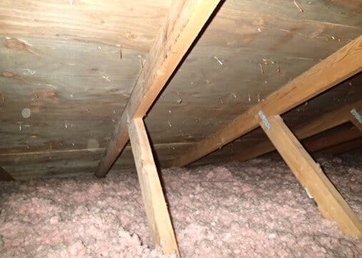 Moderate Mold Growth On Attic Sheathing