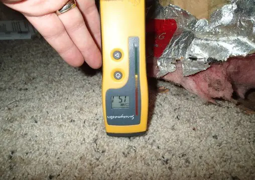 Carpet Did Not Show Elevated Moisture