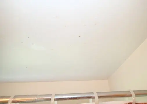 Evidence of Condensation and Mold Growth on Ceiling