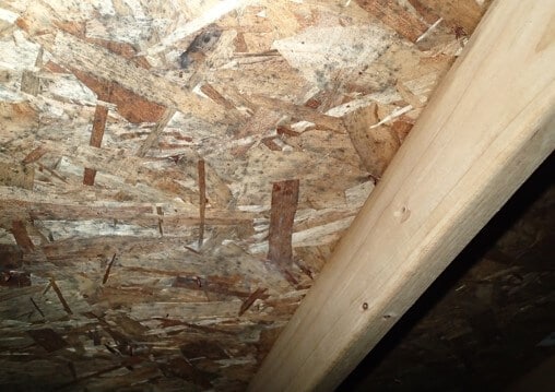 Mold Growth on Sheathing