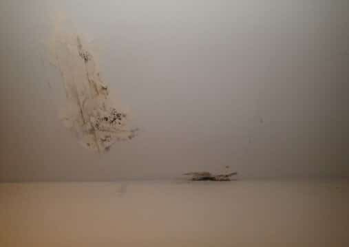 Mold Growth on Ceiling